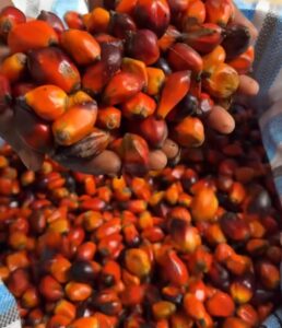 history of banga soup